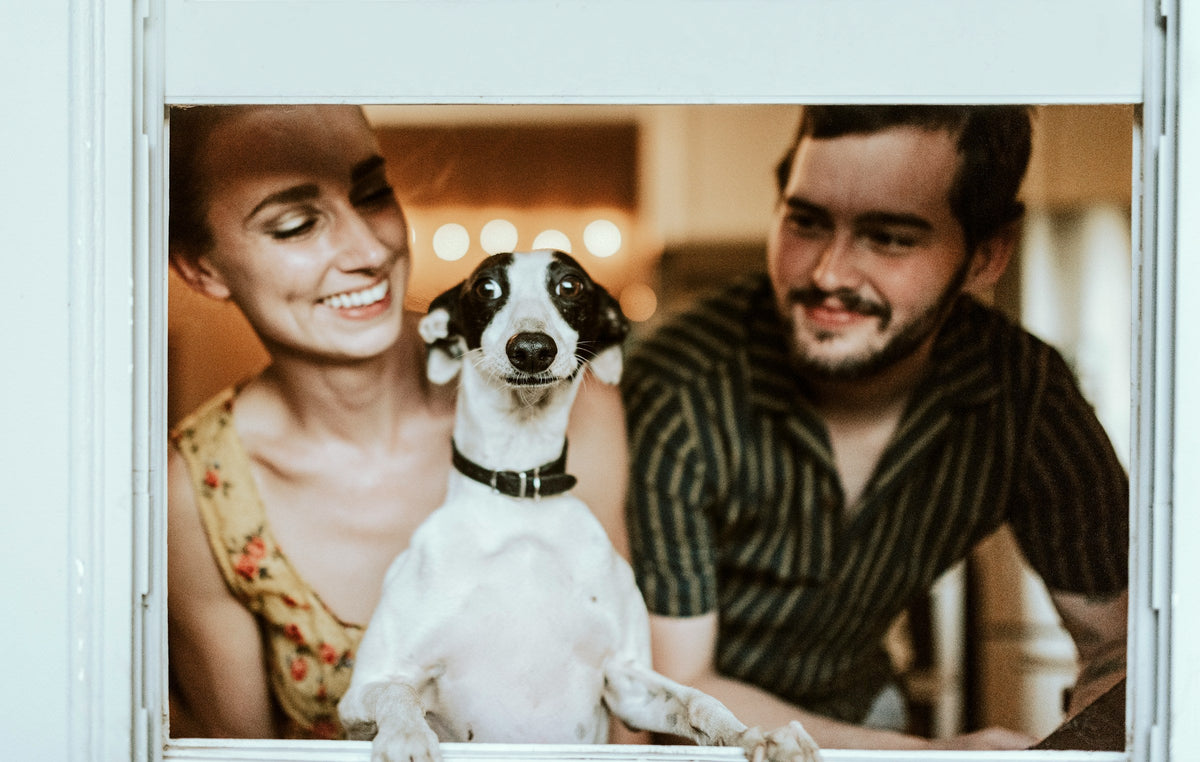 A young woman in yellow and a young man in green sit in front of an open window with a white and black Italian Greyhound.