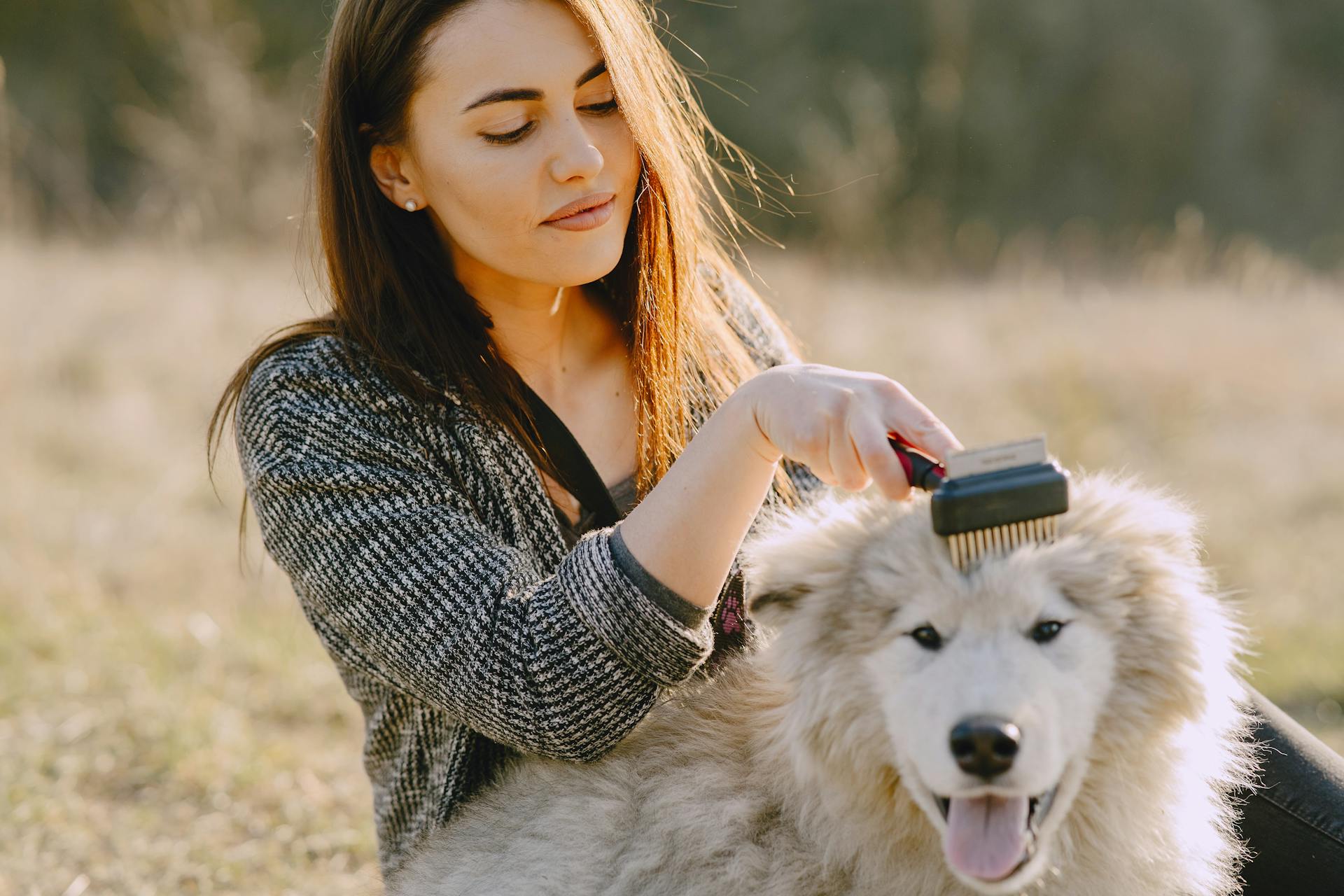 Summer Grooming Tips