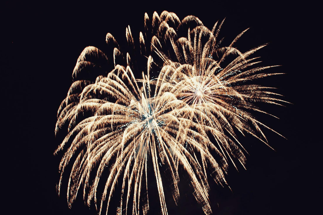 How to Manage Your Dog's Firework Anxiety