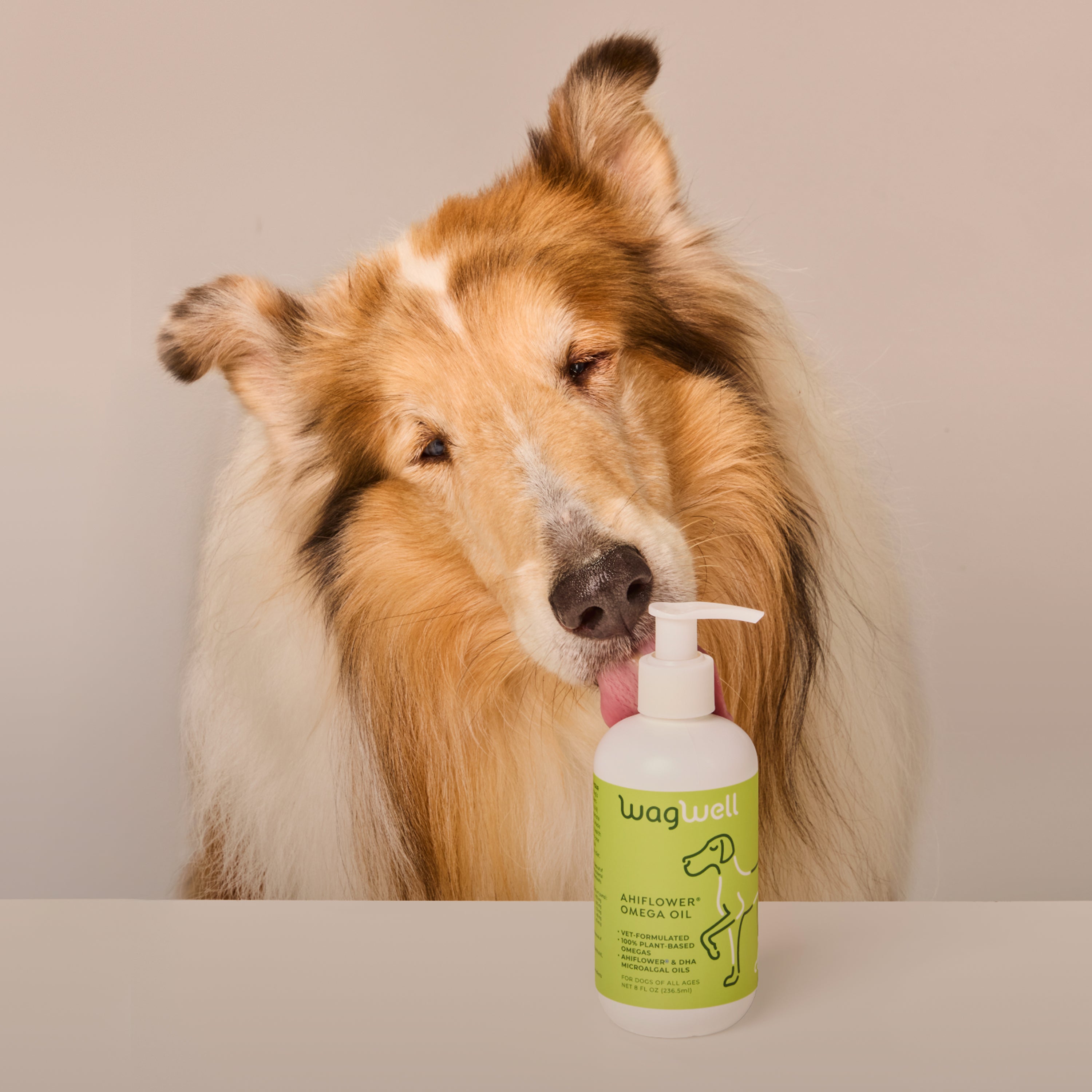 Ahiflower® Omega Oil