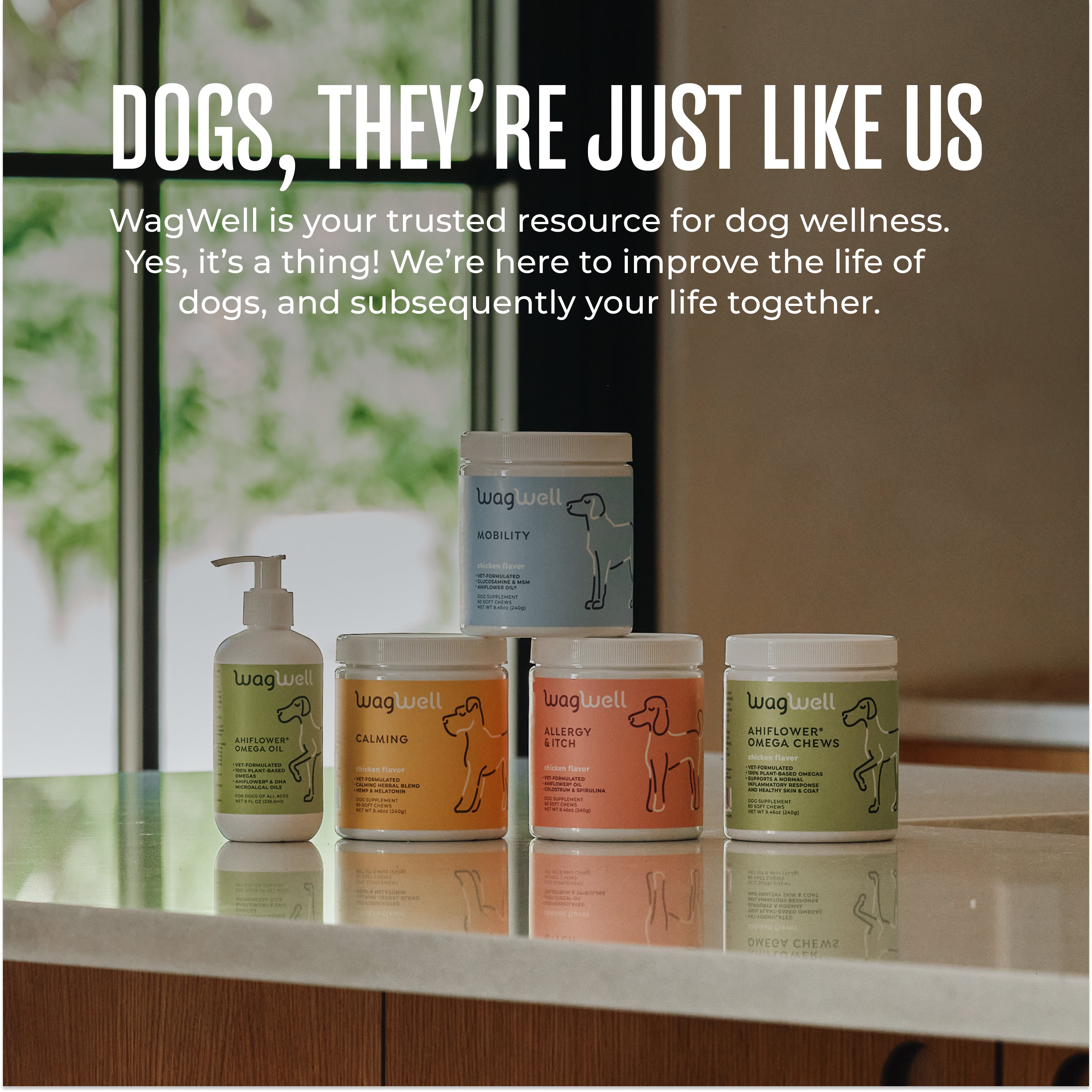 Ahiflower® Omega Oil