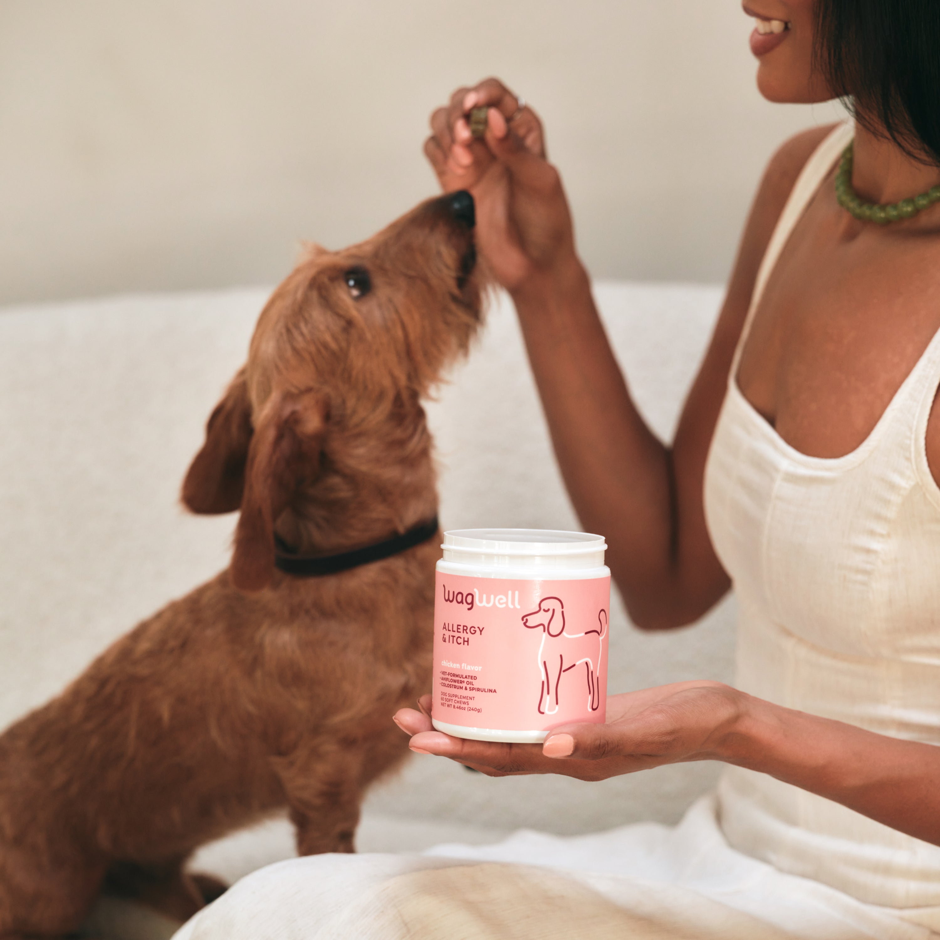 Allergy & Itch Chews