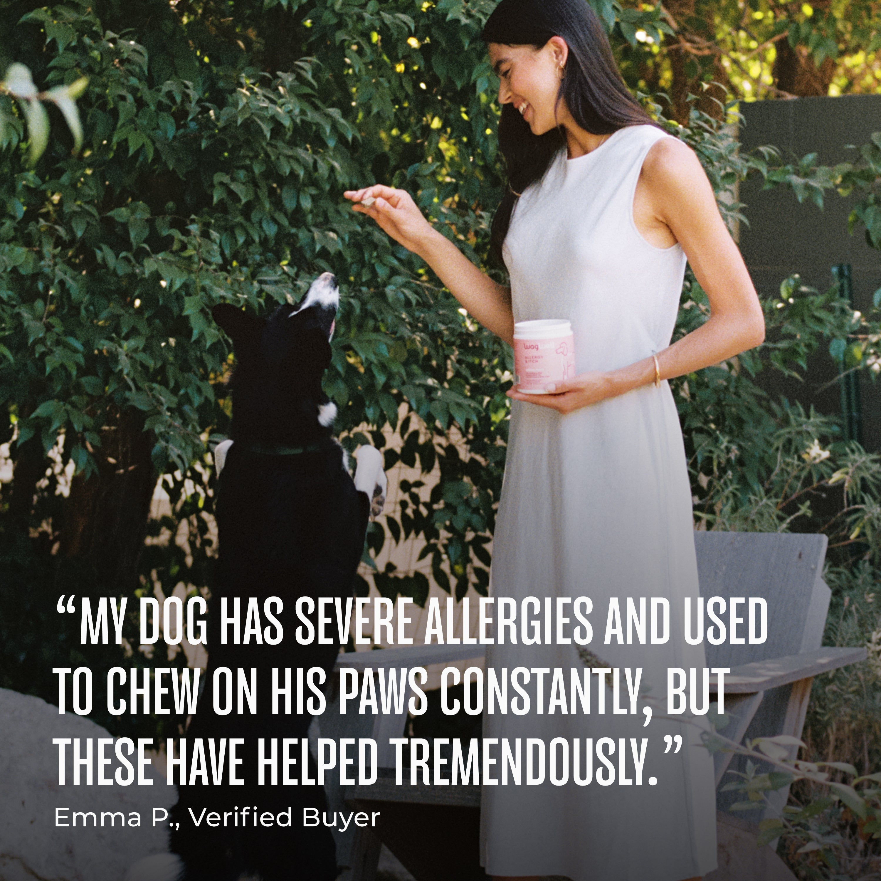 Allergy & Itch Chews