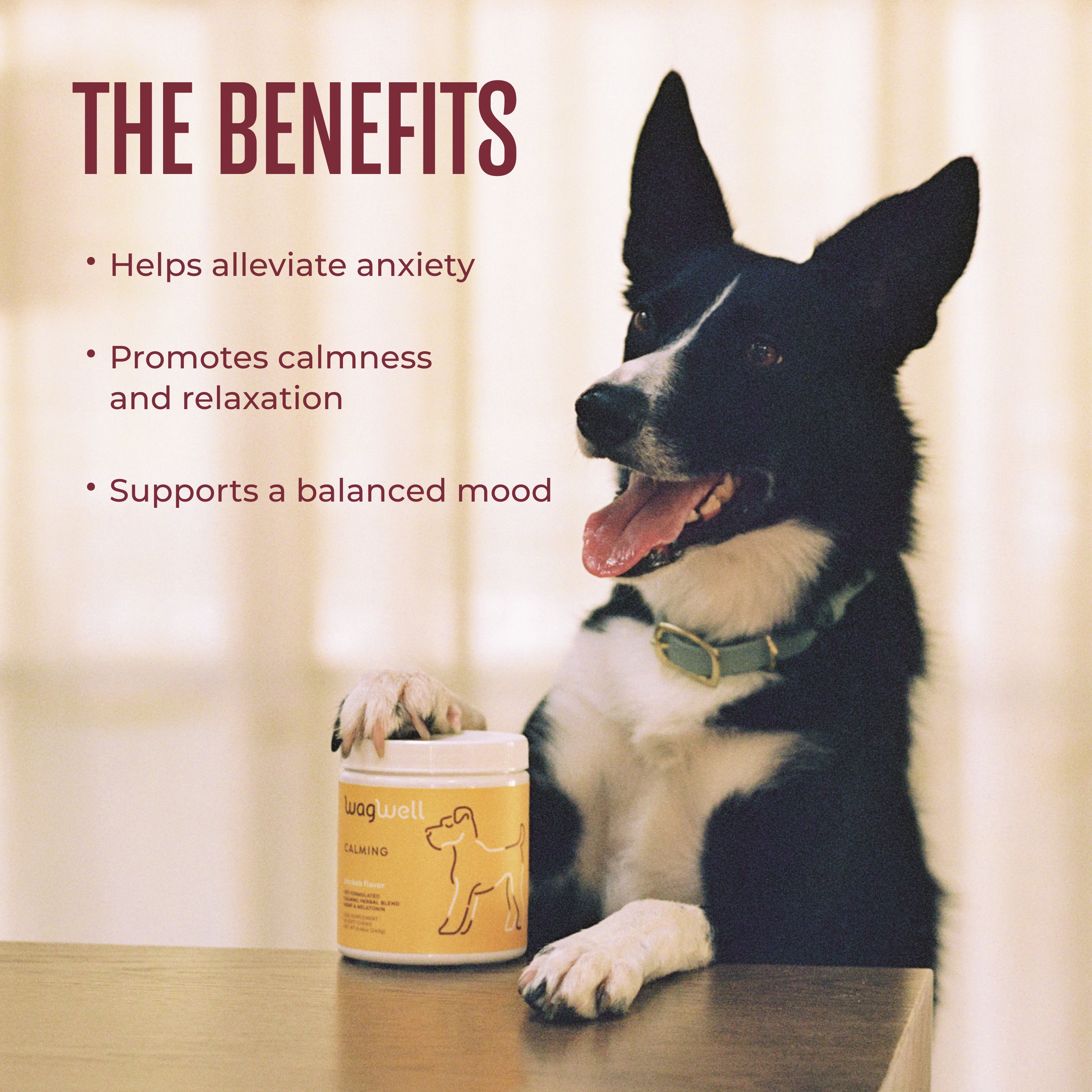 Calming Chews