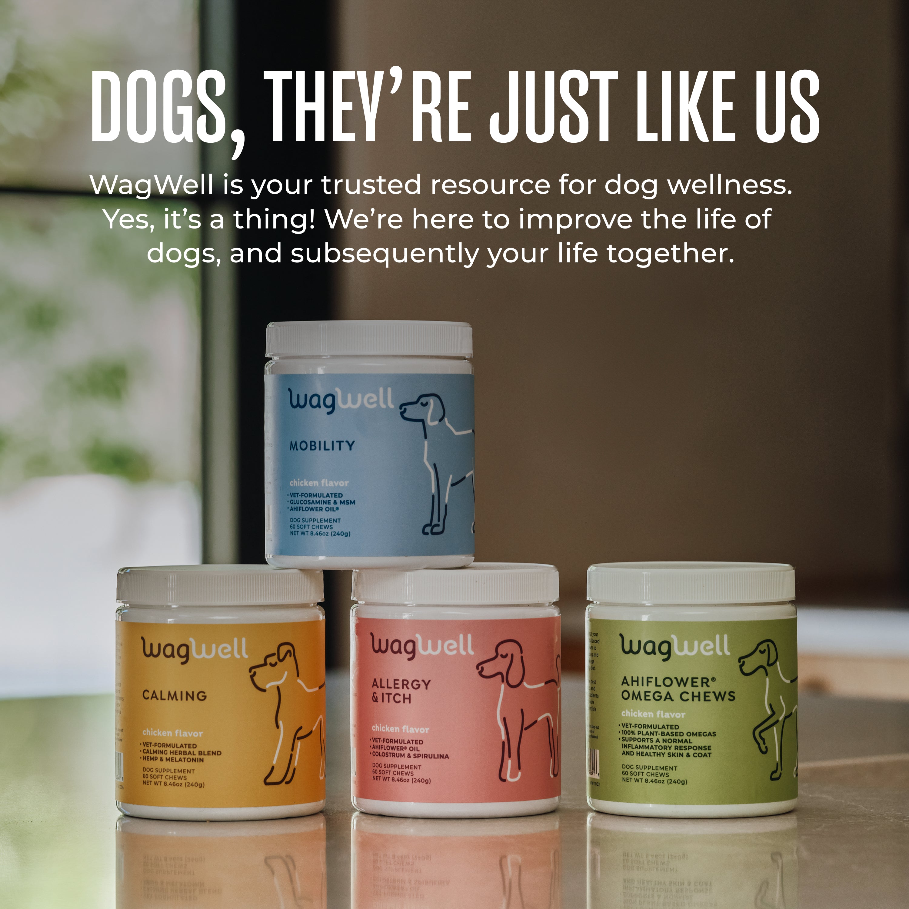 Allergy & Itch Chews