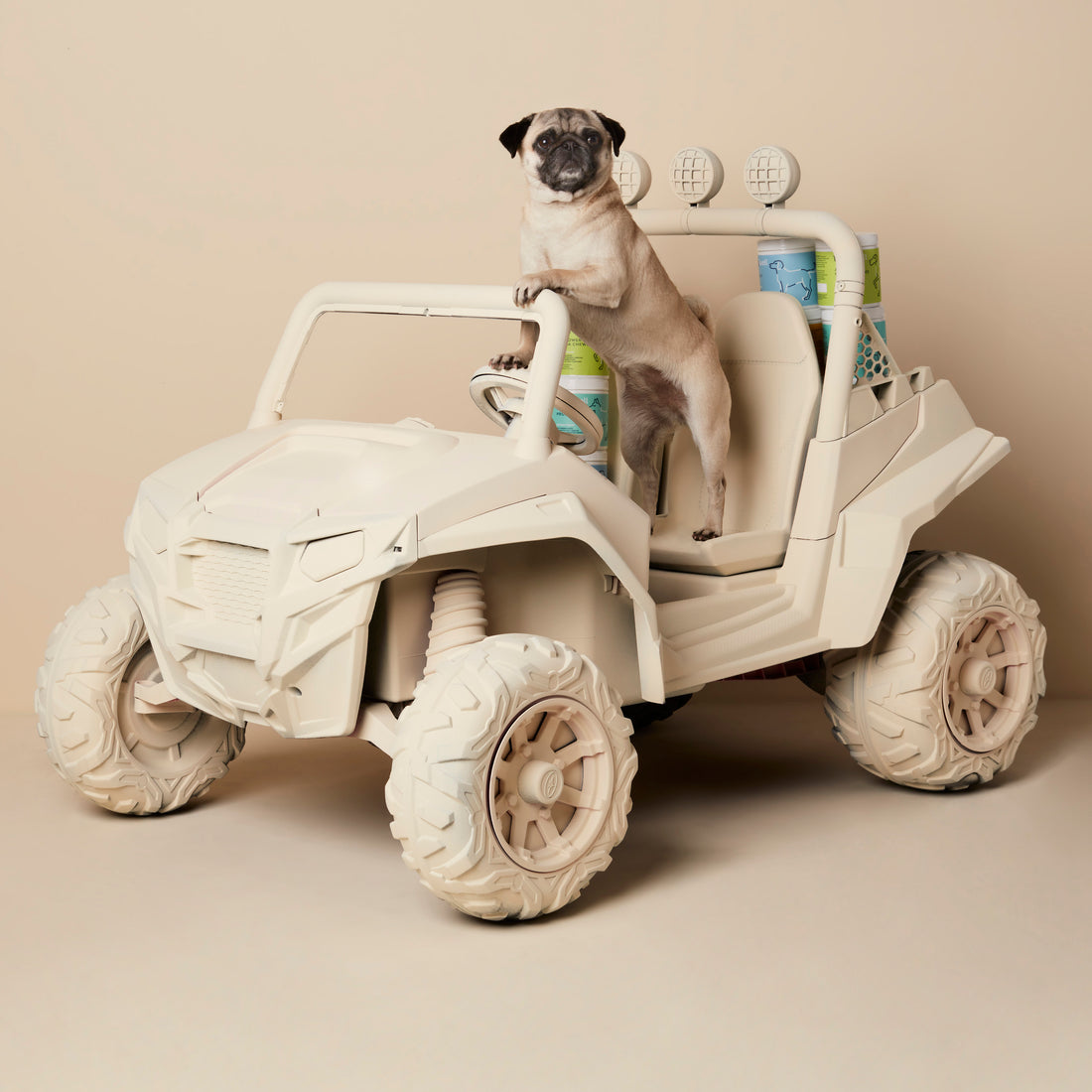 Discover The Revolutionary New WagWell Omega Supplement That's Changing Dog's Lives