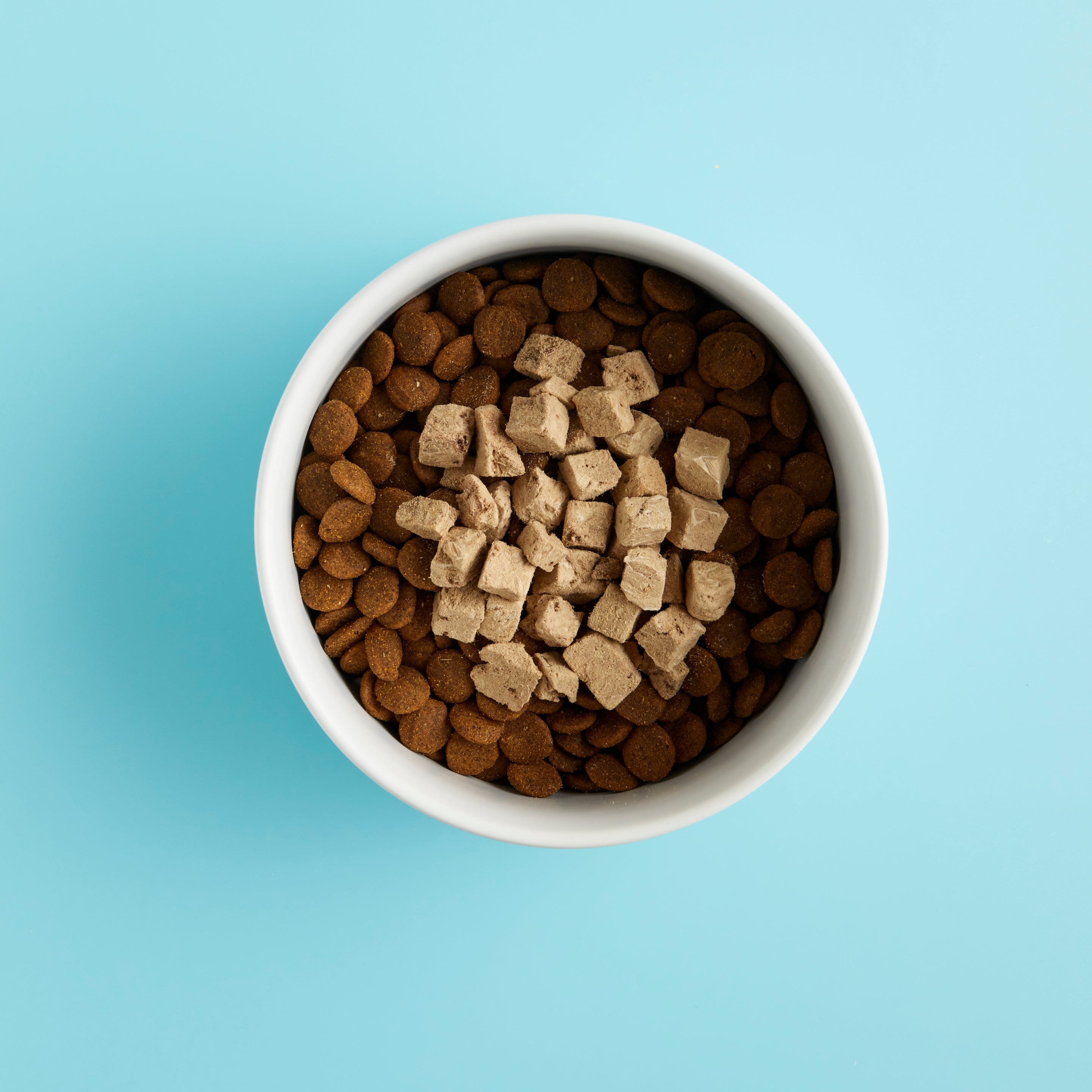 A white bowl containing dog kibble and WagWell's Freeze-Dried Beef Dog Treats