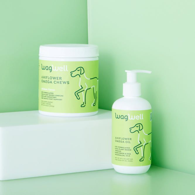 10 Pet Trends Pups, Cats & Humans Alike Will Pounce on in 2024