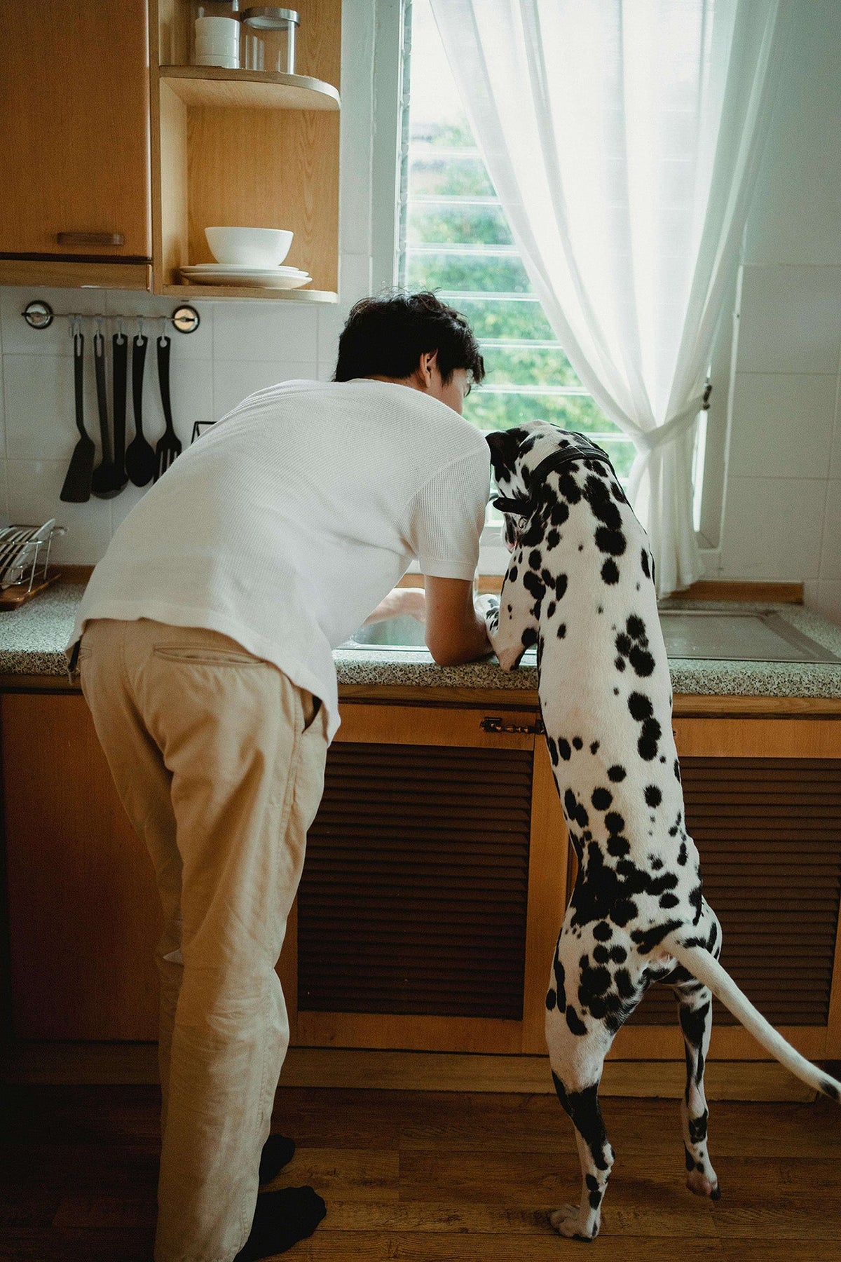 An image of a human with their dog