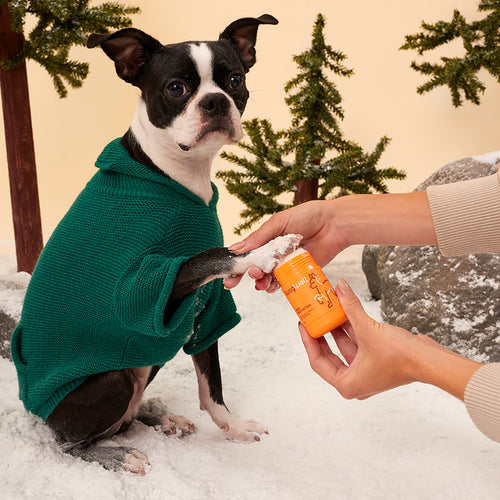 Let Your Pets In On The Holidays With Treats and Toys They'll Actually Want