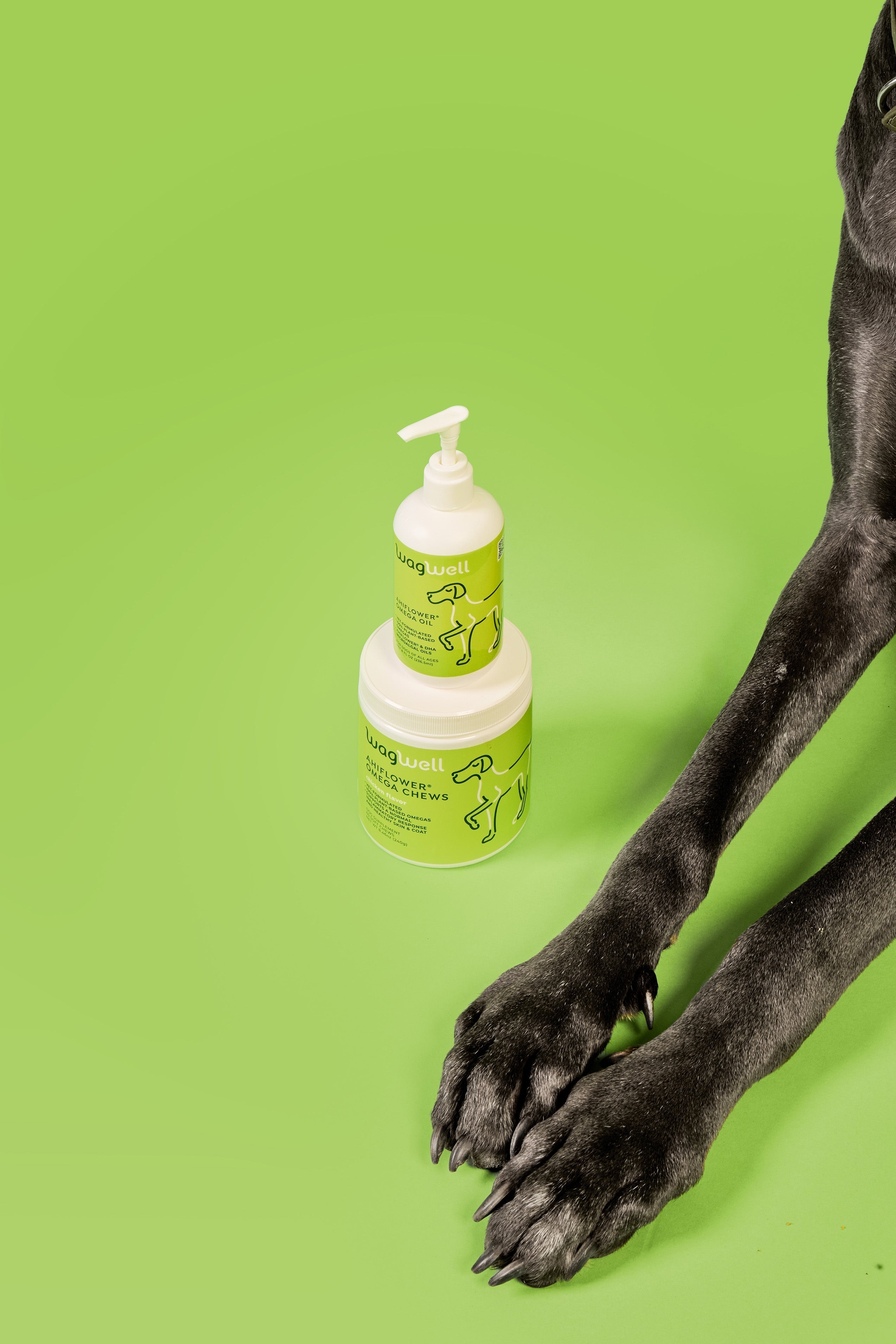 Pioneering Pet Products: Unveiling the Inaugural Vanguard Awards