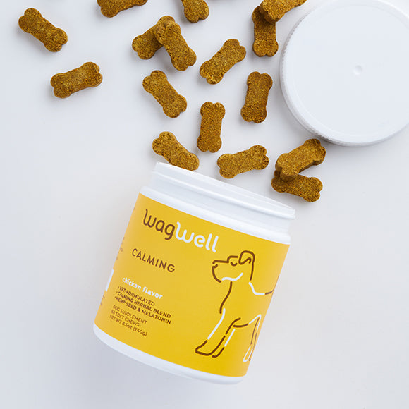 The 12 Best Calming Dog Products for Travel 2024