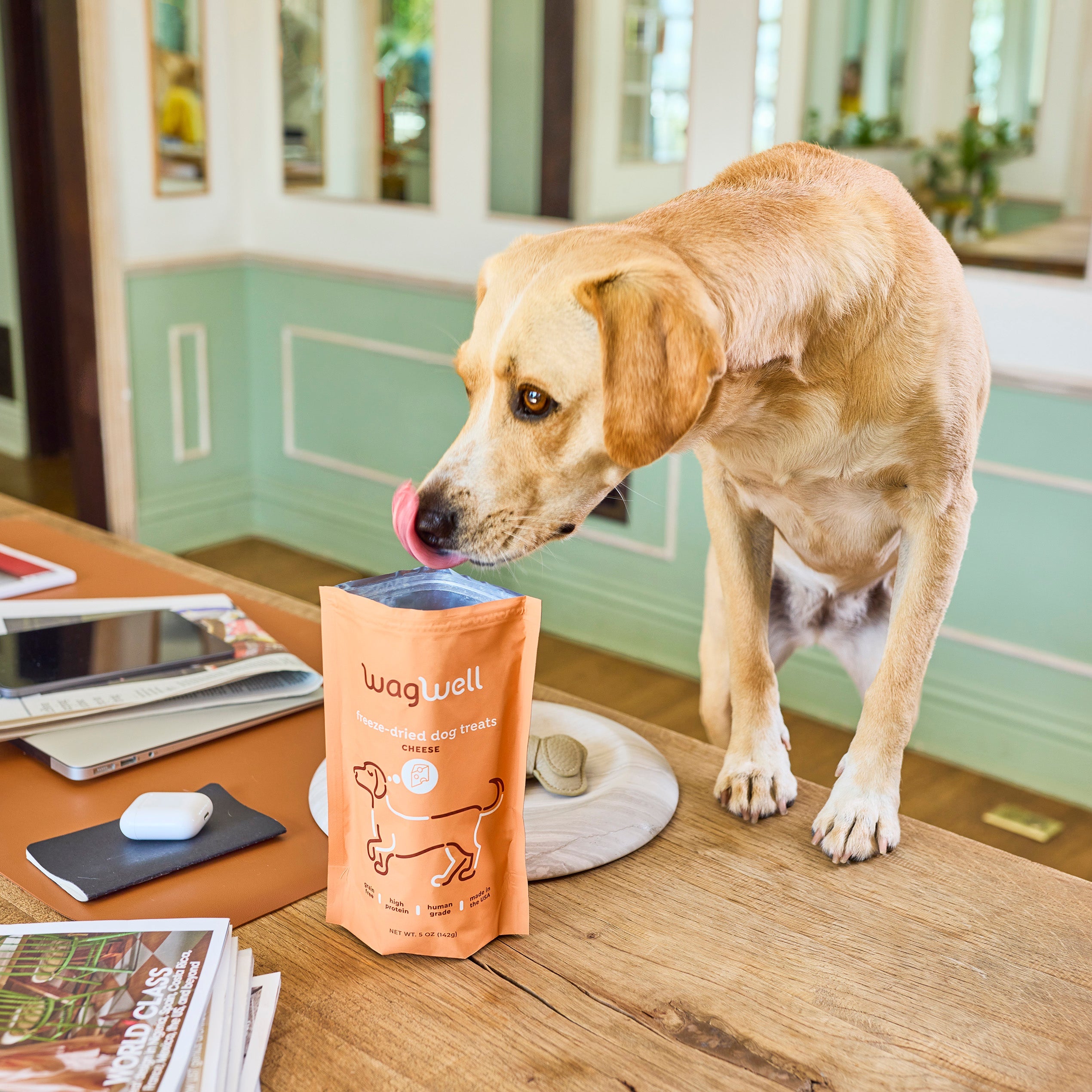 I tried easy-to-eat treats for my toothless, senior dogs