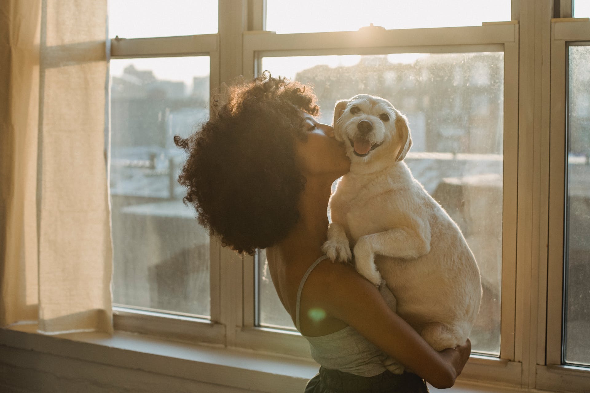 How To Spend Quality Time With Your Dog