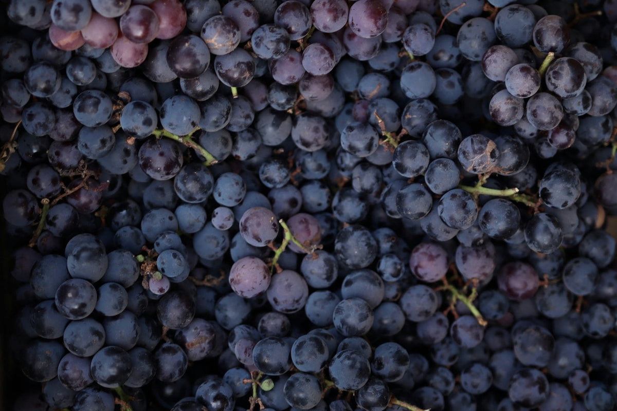 A stack of blueberries.