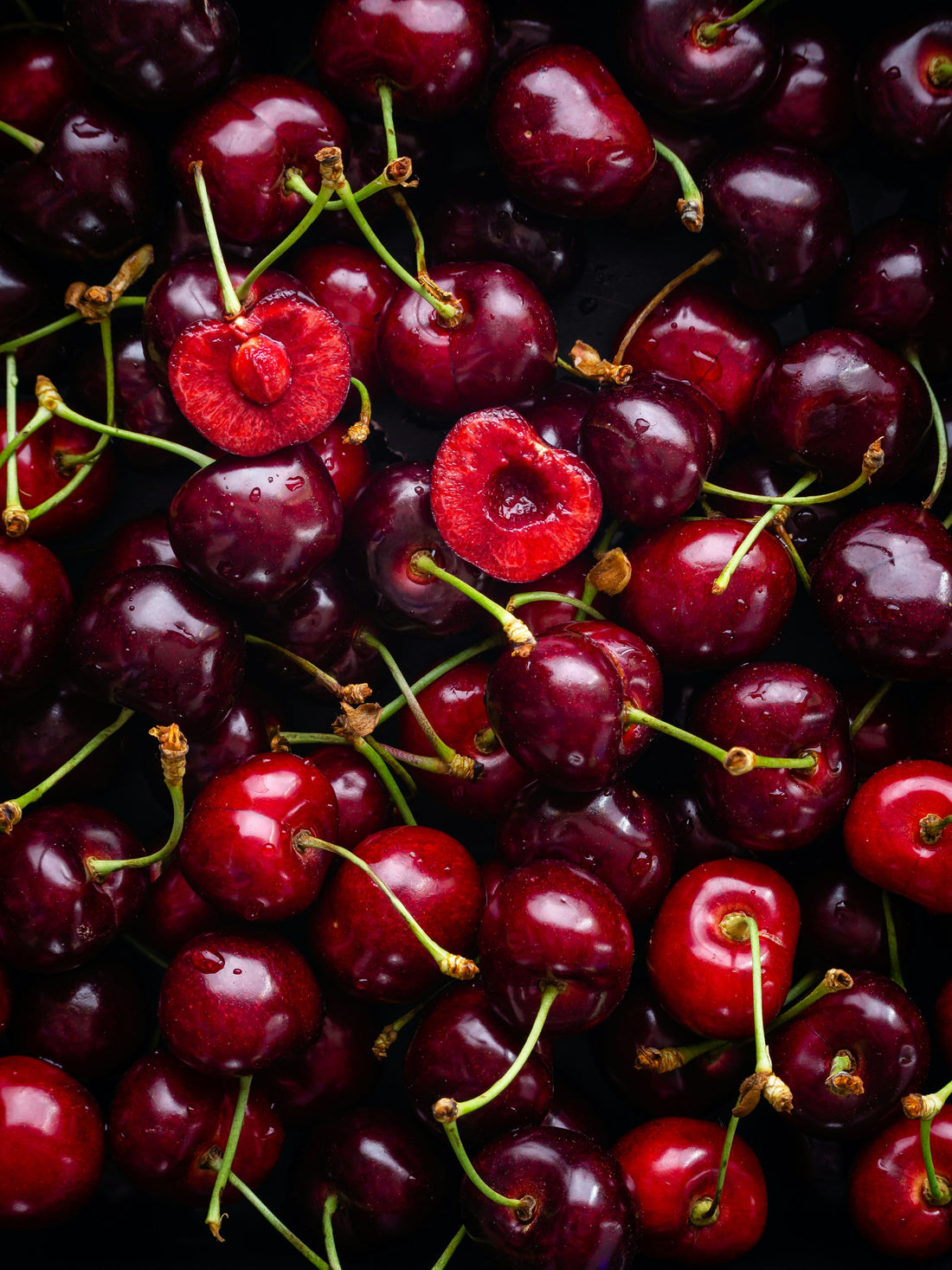 Can Dogs Eat Cherries? | WagWell