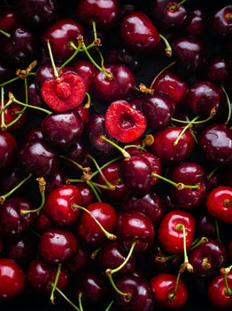 Can Dogs Eat Cherries? | WagWell