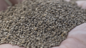 An image of omega oil for dogs