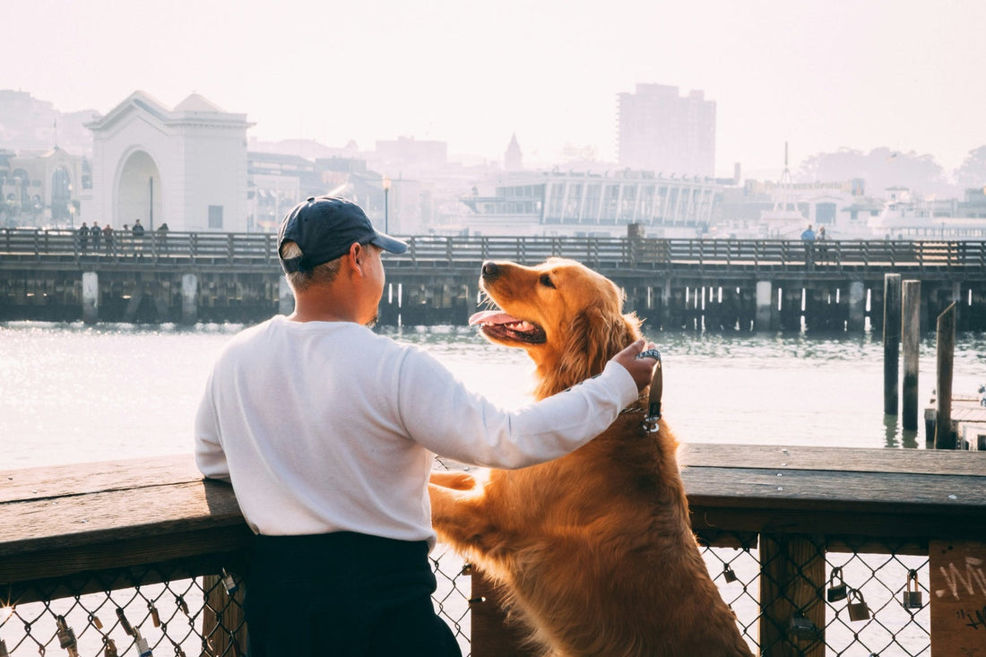 A man with his dog near a river.