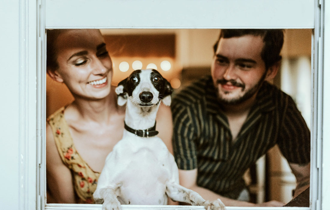 A young woman in yellow and a young man in green sit in front of an open window with a white and black Italian Greyhound. 