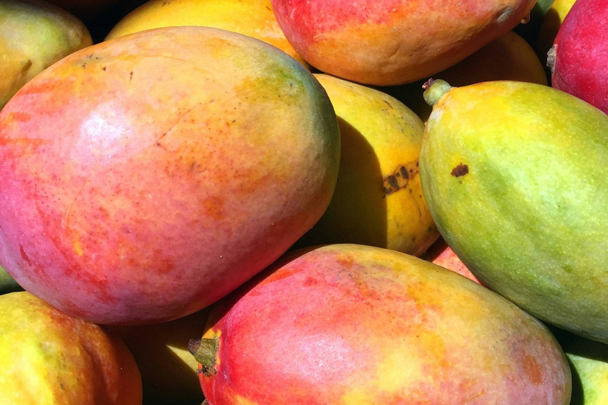 A group of ripe mangoes.