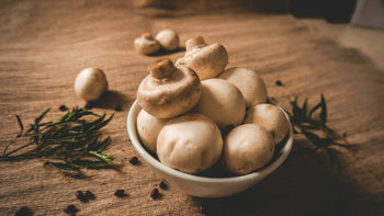 Can Dogs Eat Mushrooms? | WagWell