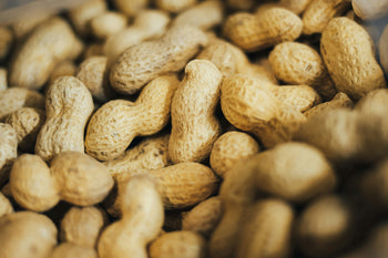 Can Dogs Eat Peanuts? | WagWell