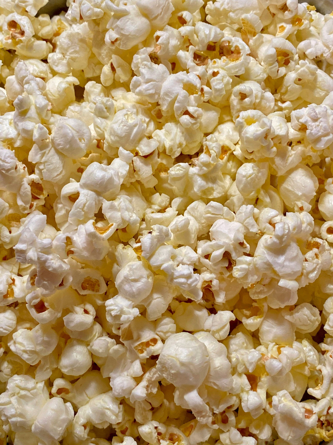 Can Dogs Eat Popcorn?