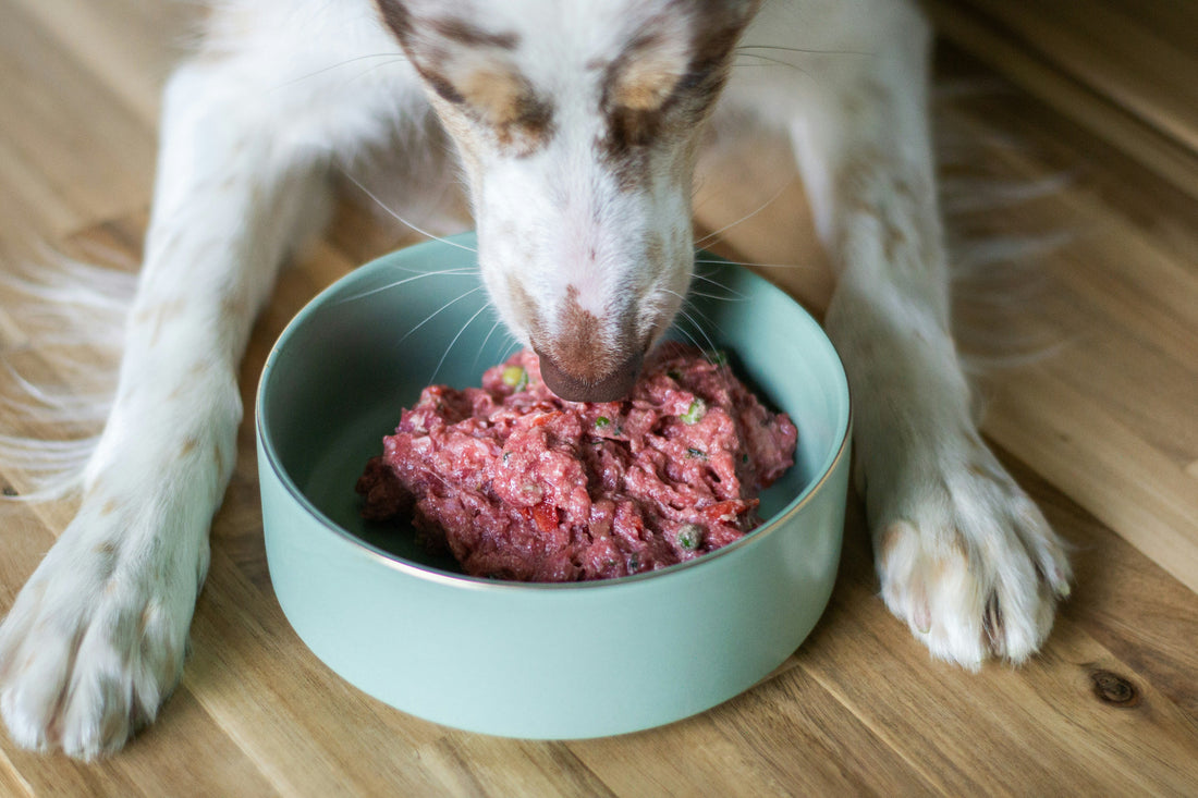 How Much Protein Is In Dog Food?