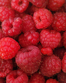 Can Dogs Eat Raspberries? | WagWell