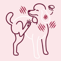 Non-stop scratching