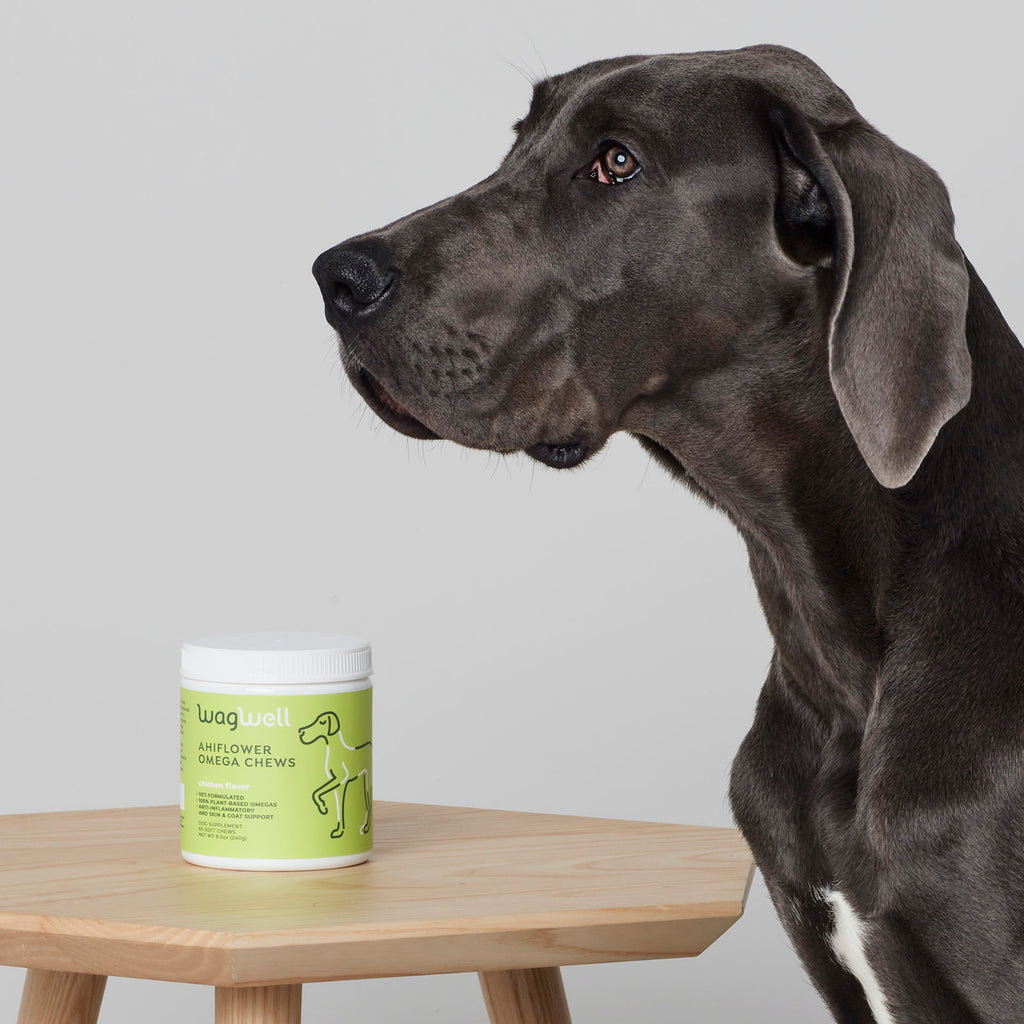 Ahiflower® Omega Chews