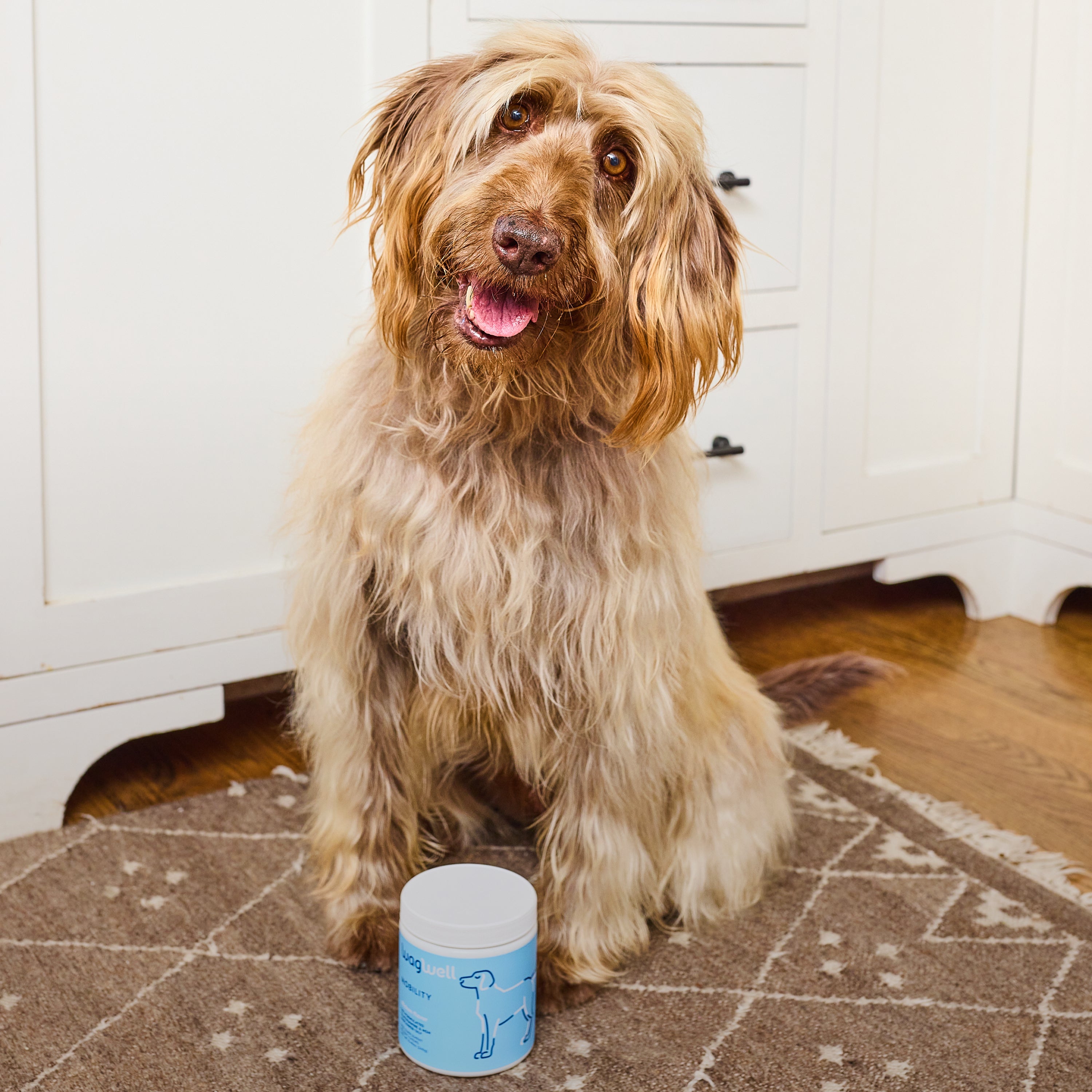 Mobility Chews