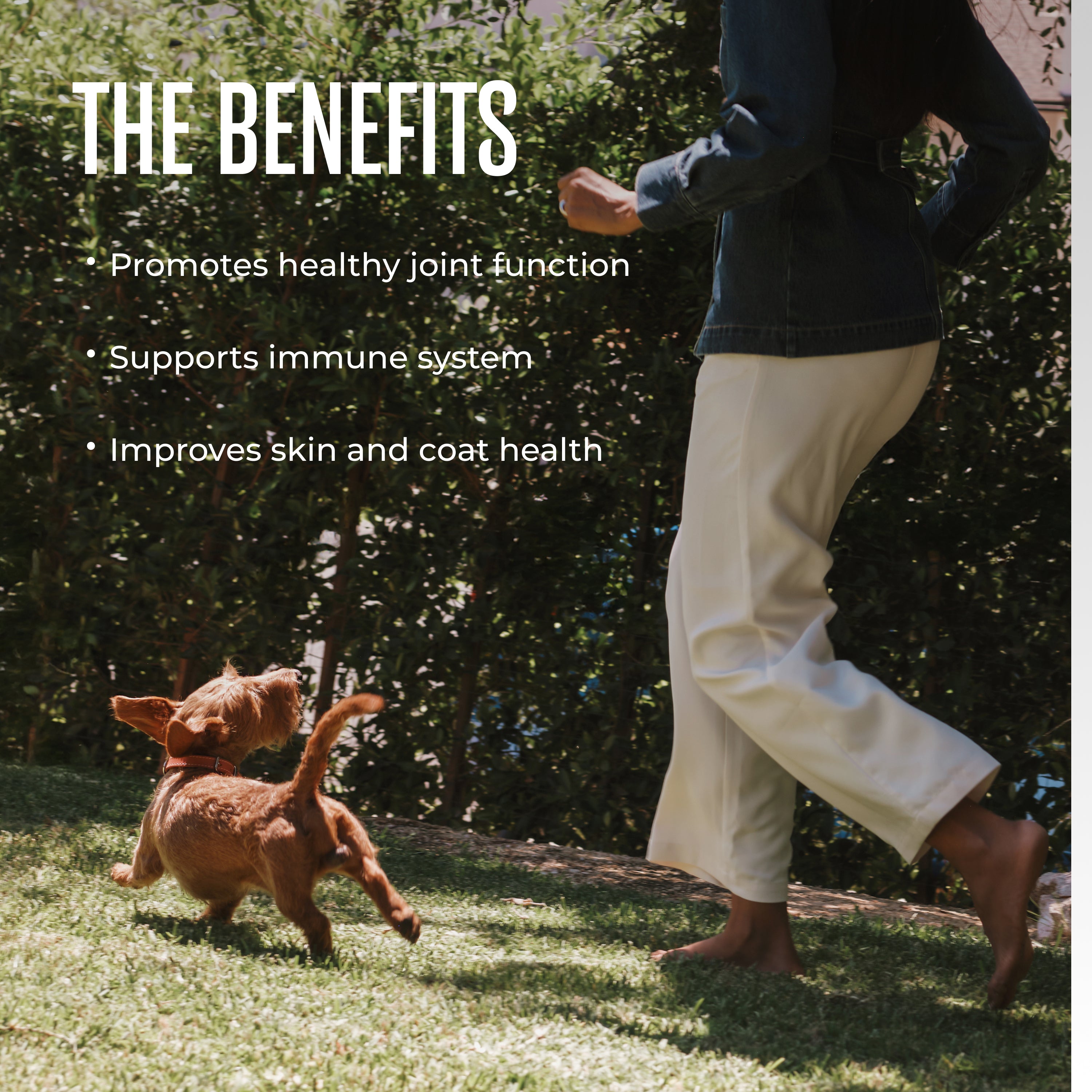 Ahiflower® Omega Chews