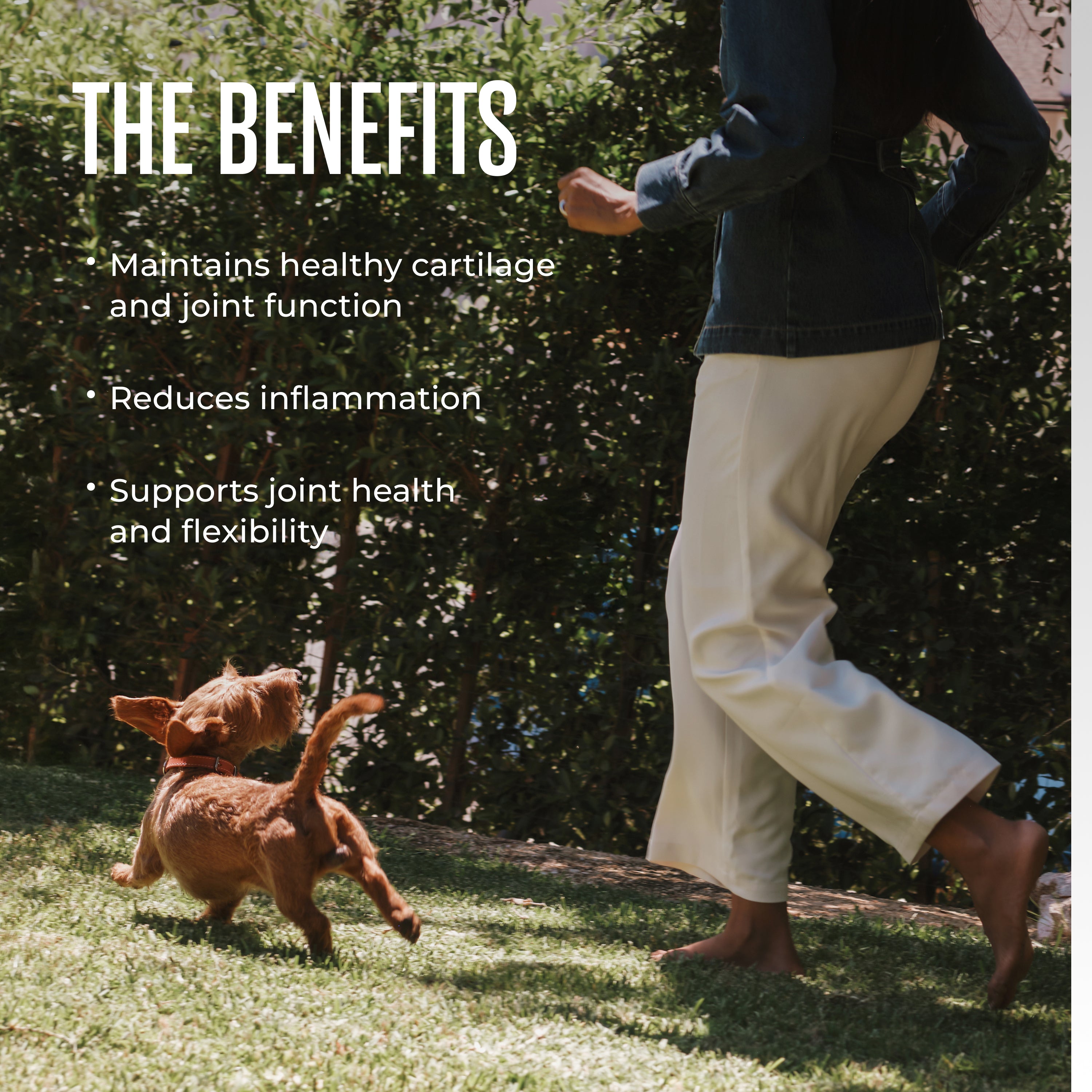 Mobility Chews