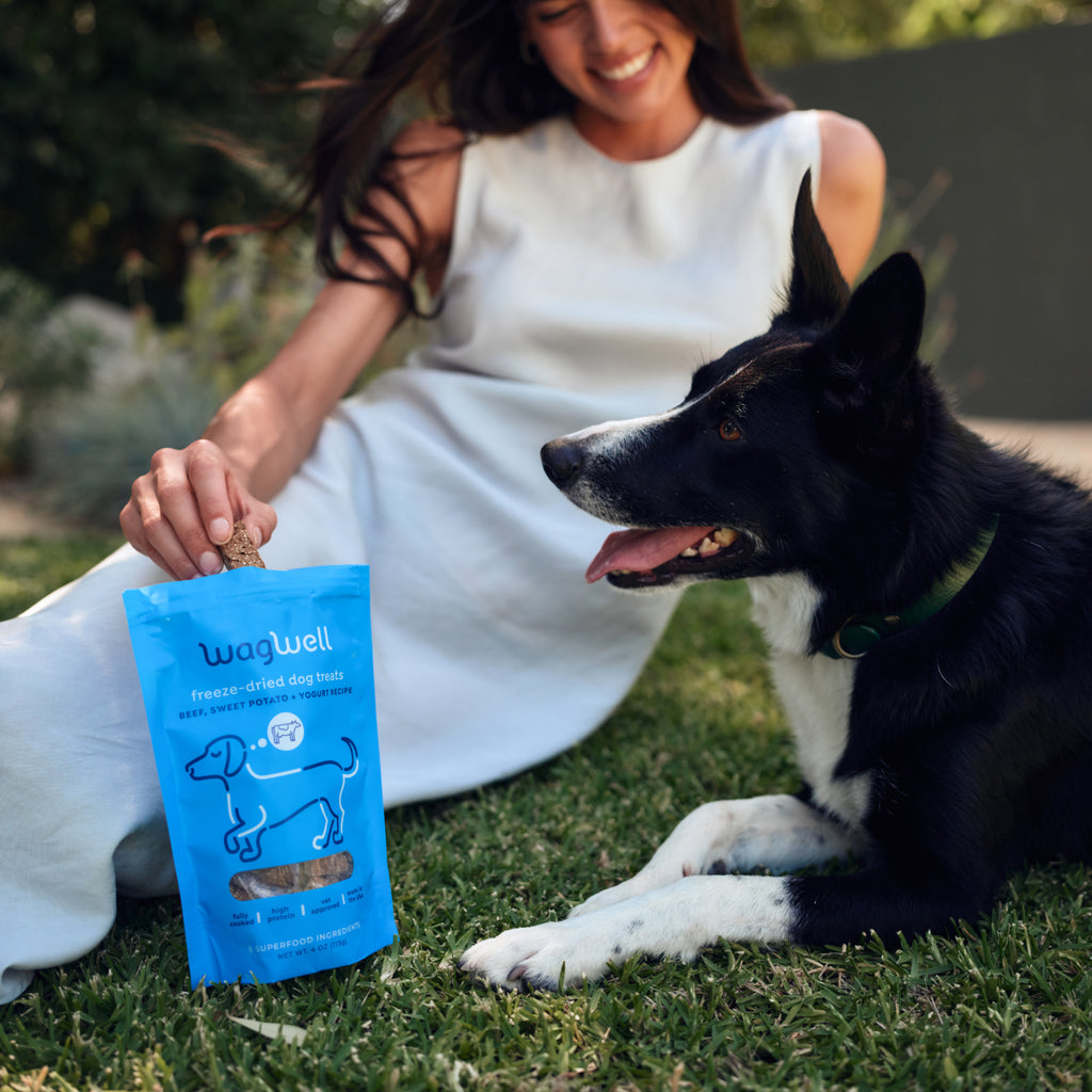 Freeze-Dried Treats - Beef, Sweet Potato, + Yogurt Recipe