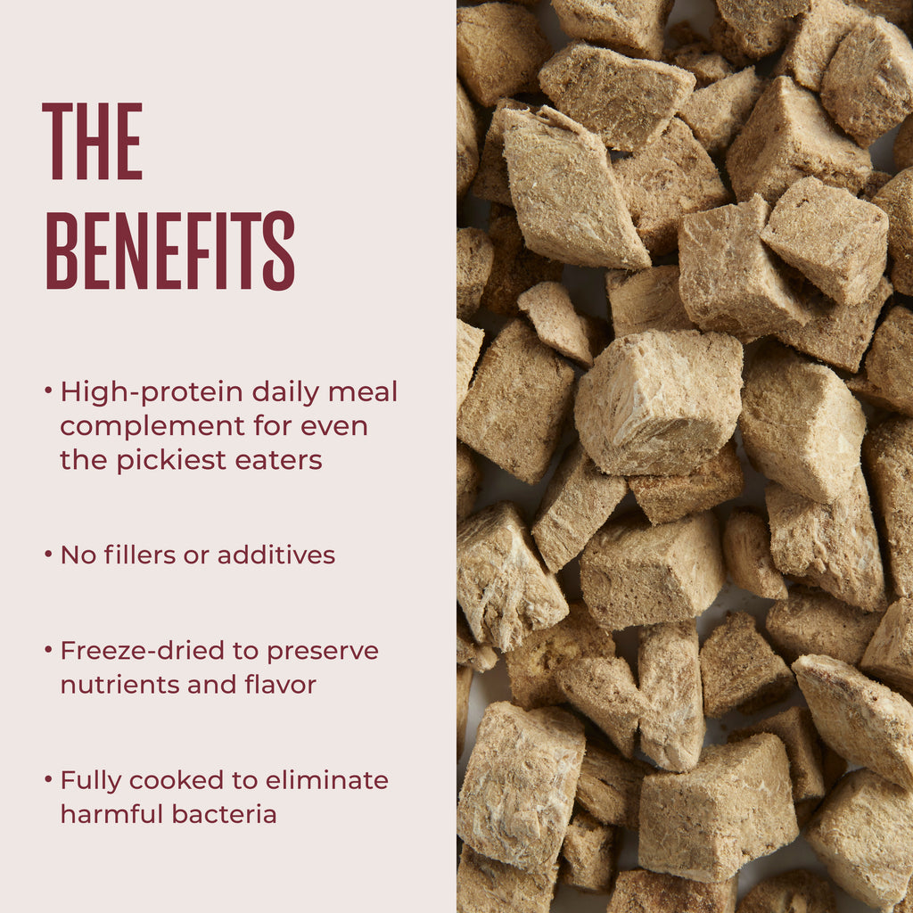 Freeze-Dried Beef Topper