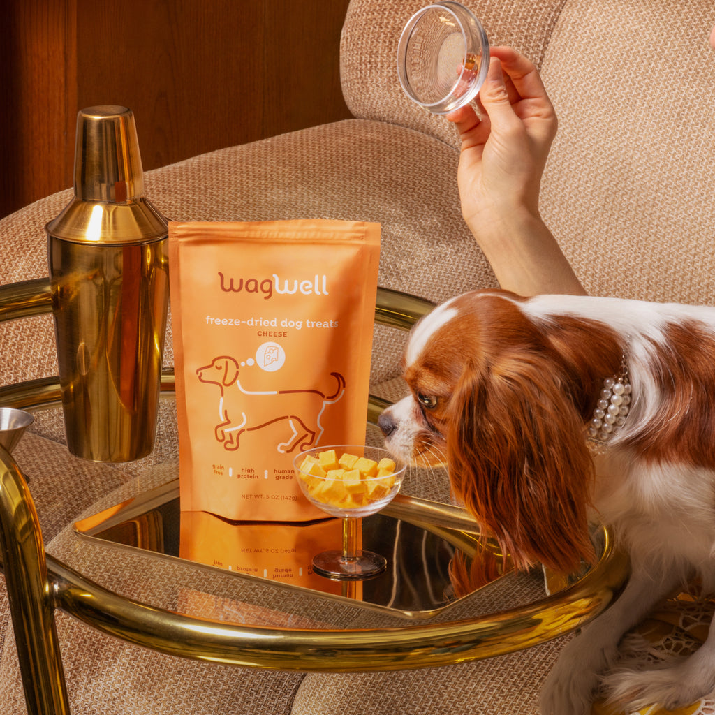 Freeze-Dried Cheese Dog Treats