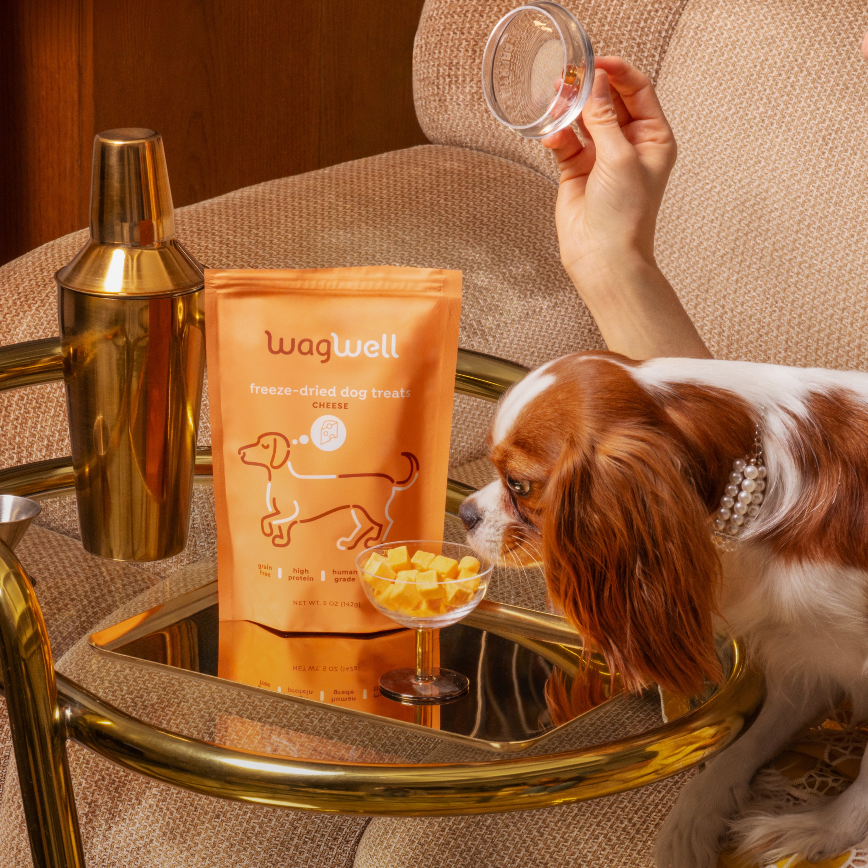 Freeze-Dried Cheese Dog Treats