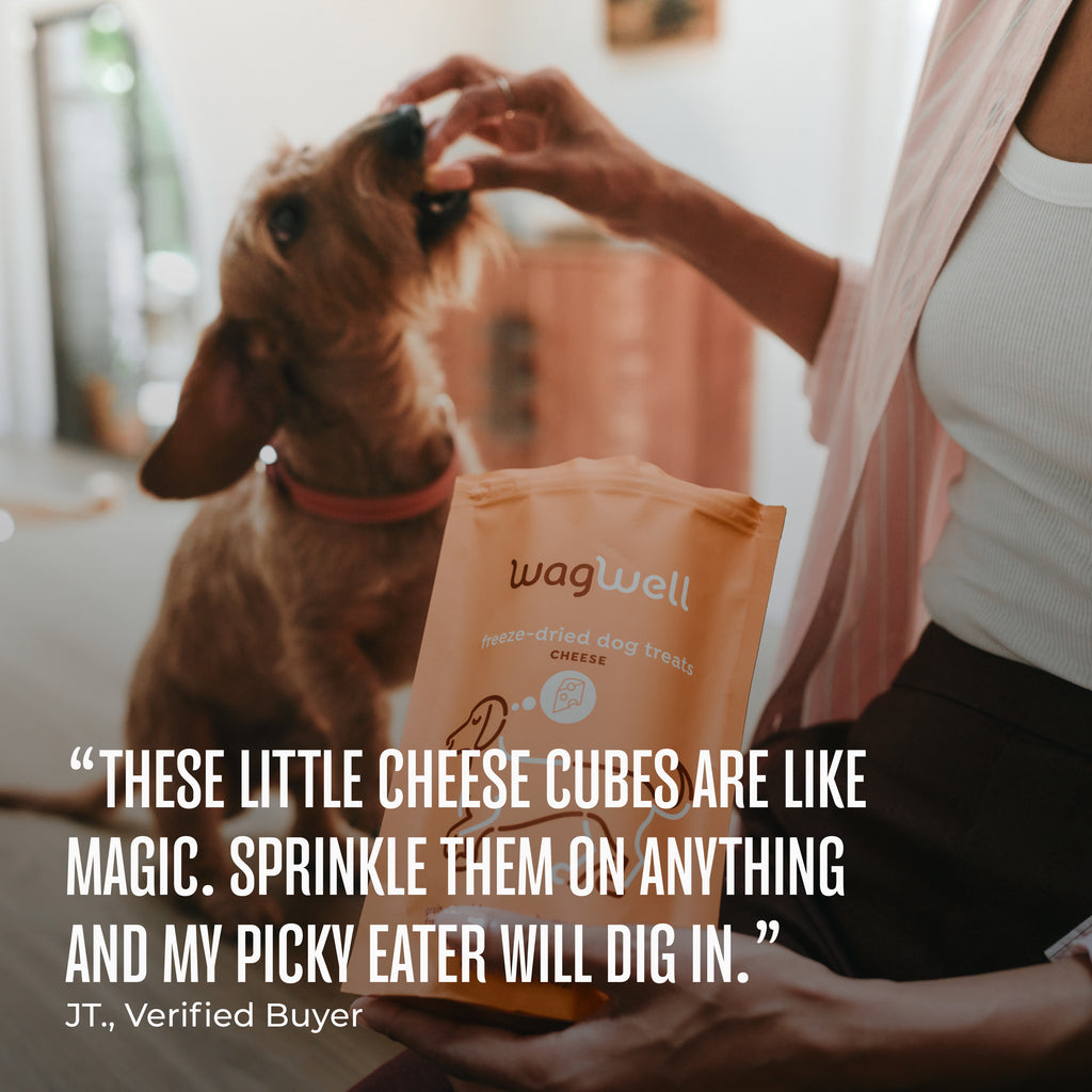 Freeze-Dried Cheese Dog Treats