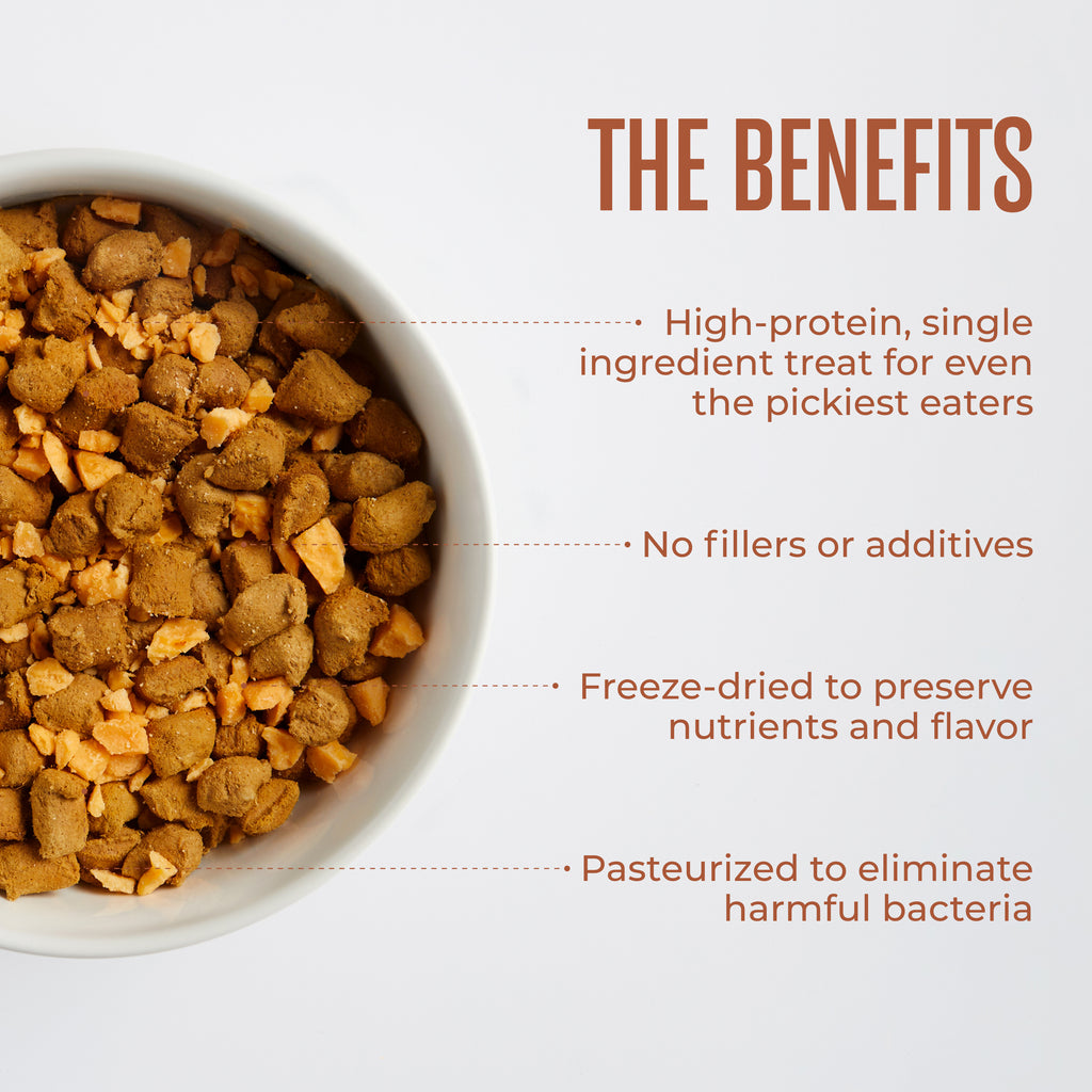 Freeze-Dried Cheese Dog Treats