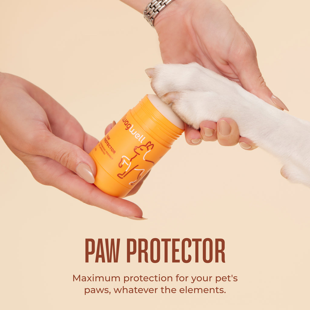 Paw Protector