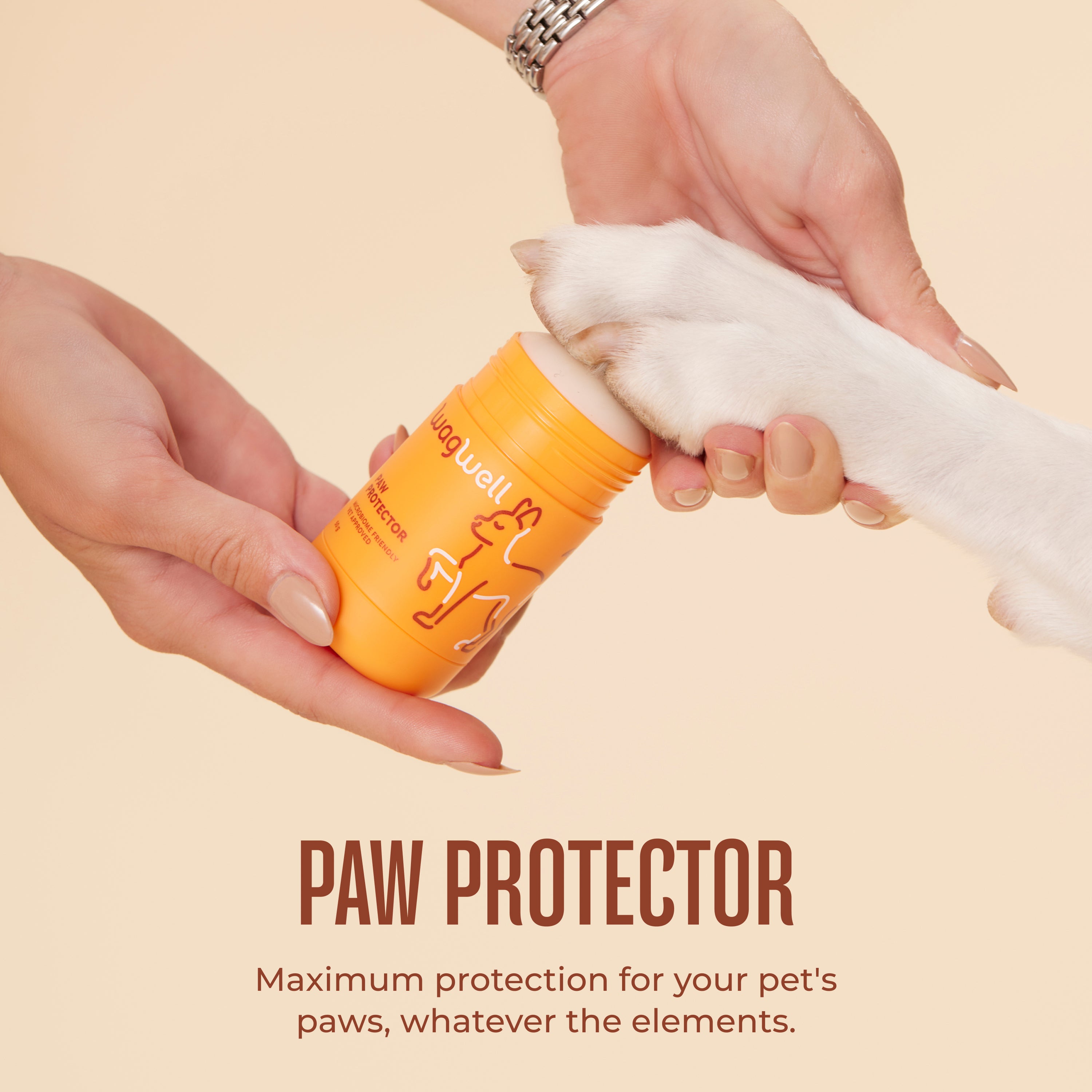 Paw Protector