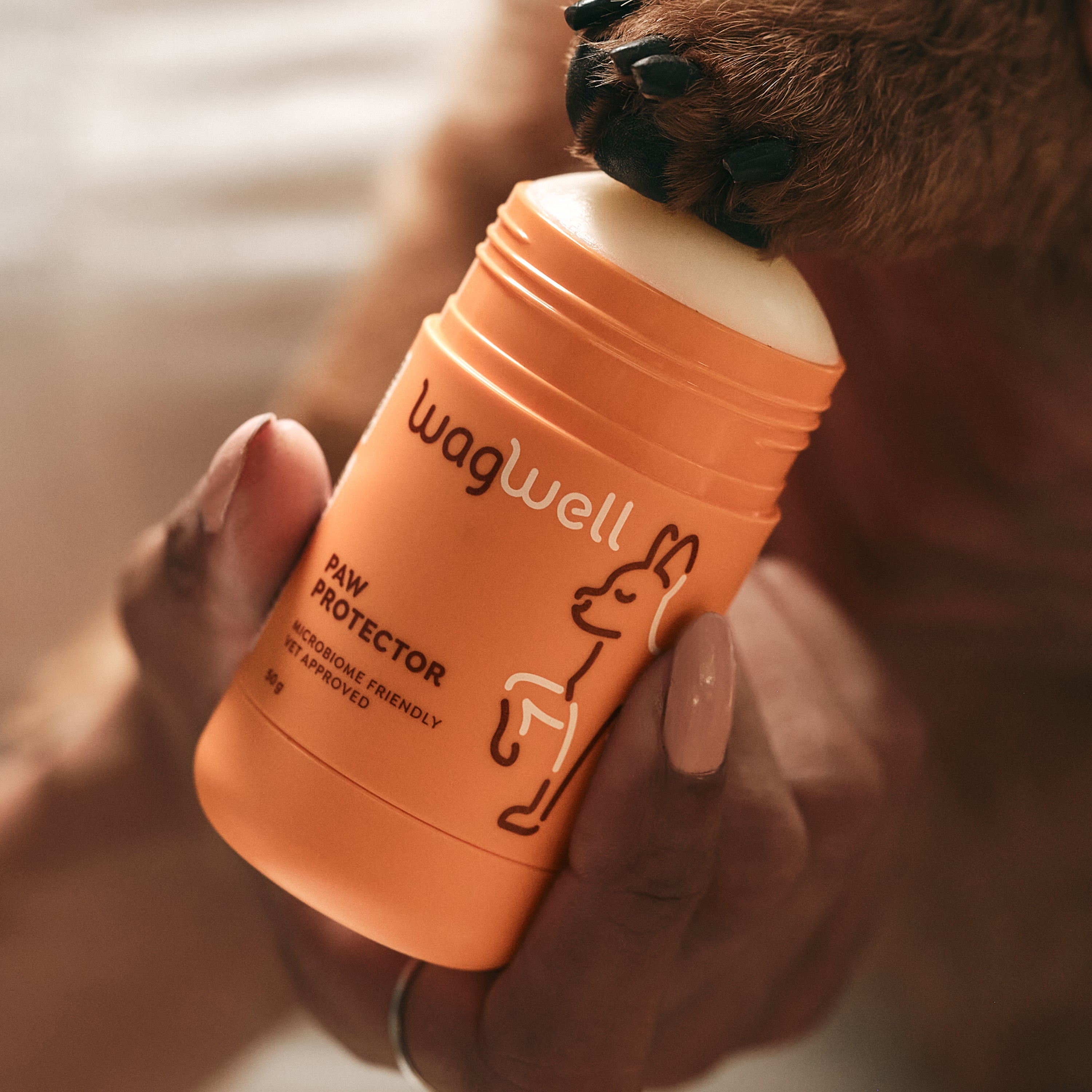 Dog Paw Balm | Paw Protector | Wagwell