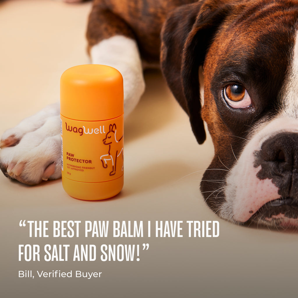 Paw Protector