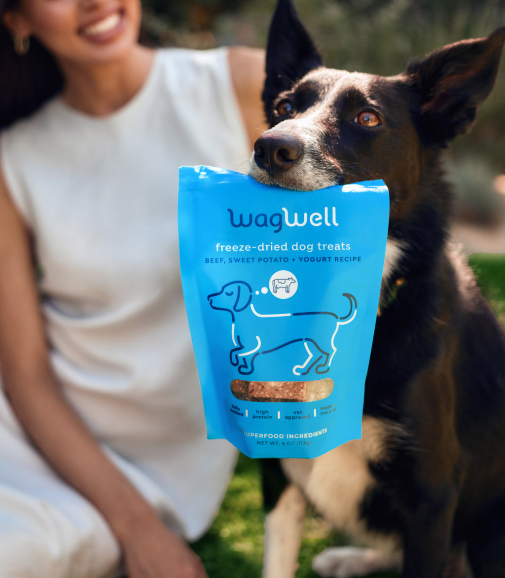 Treat Yourself Bundle