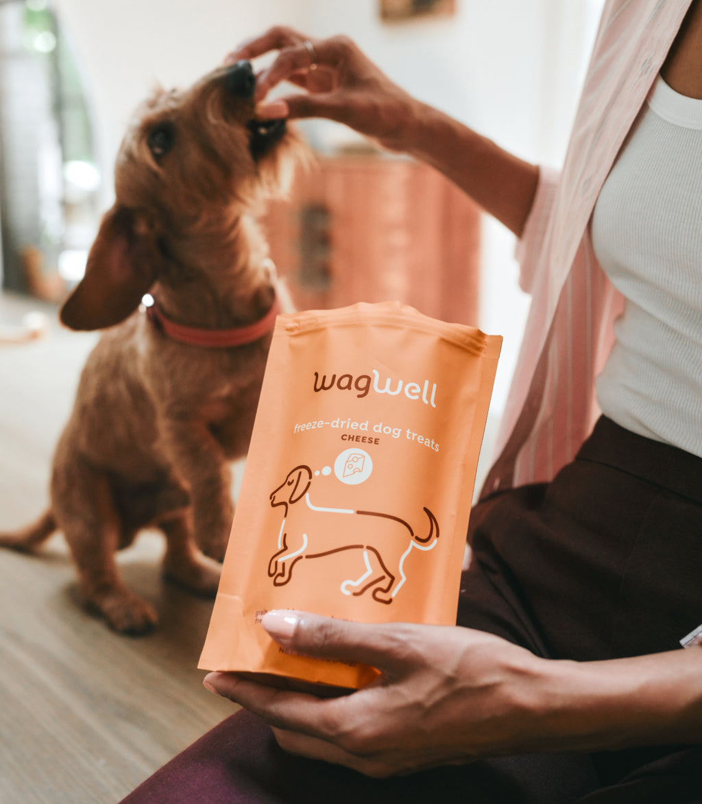 Treat Yourself Bundle