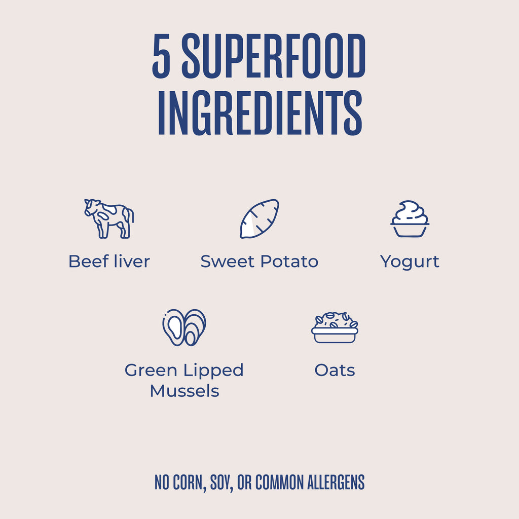 Freeze-Dried Treats - Beef, Sweet Potato, + Yogurt Recipe