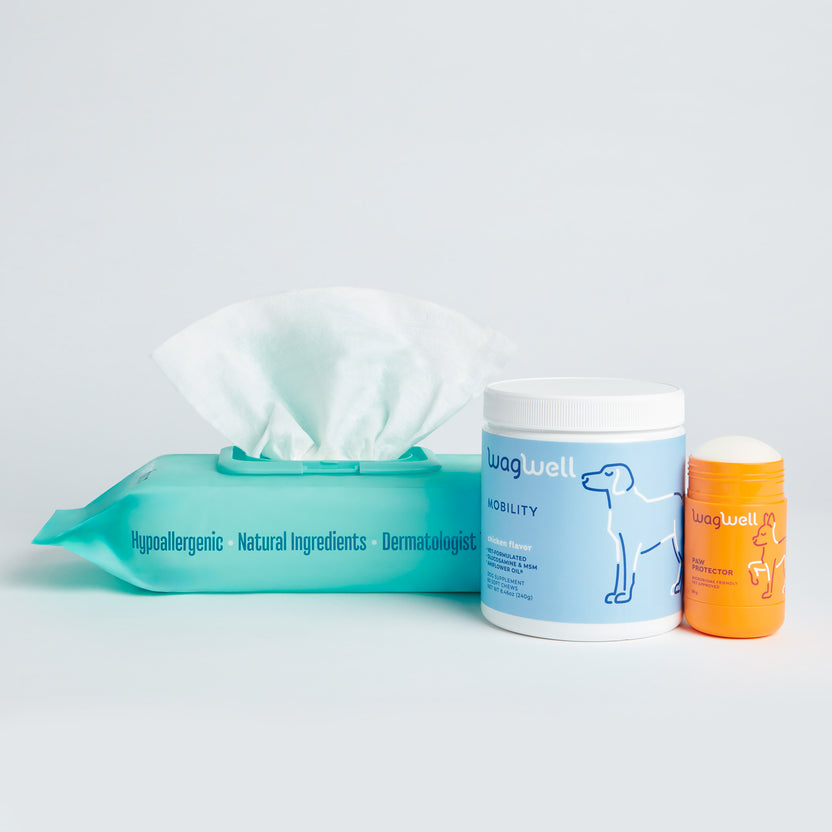 Wellness Bundles For Dogs | Science-Backed Pet Care | Wagwell