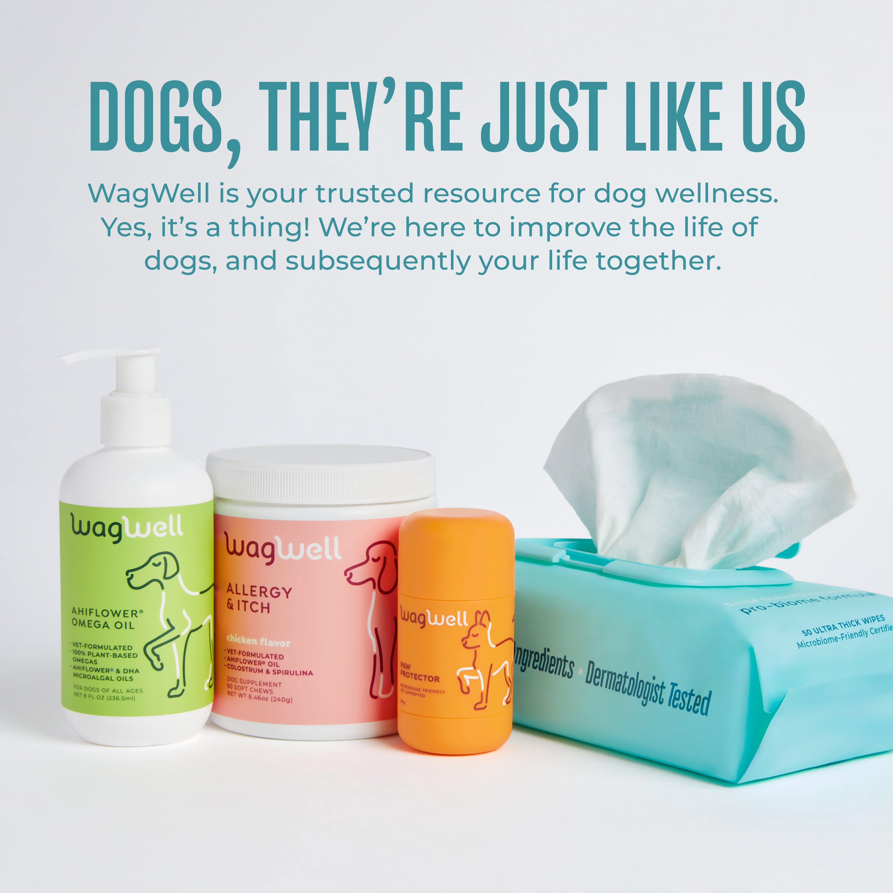 Daily Cleansing Wipes